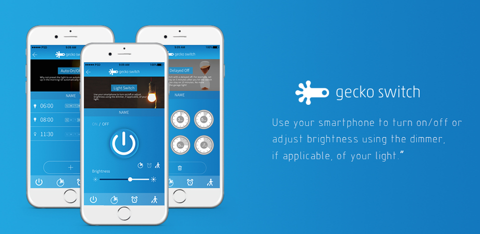 gecko-switch-005