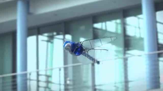 BionicOpter - Le Drone Libellule 