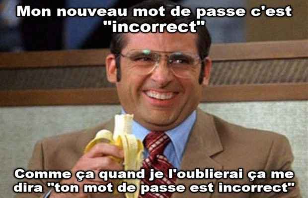 mon mot de passe est incorrecte (meme)