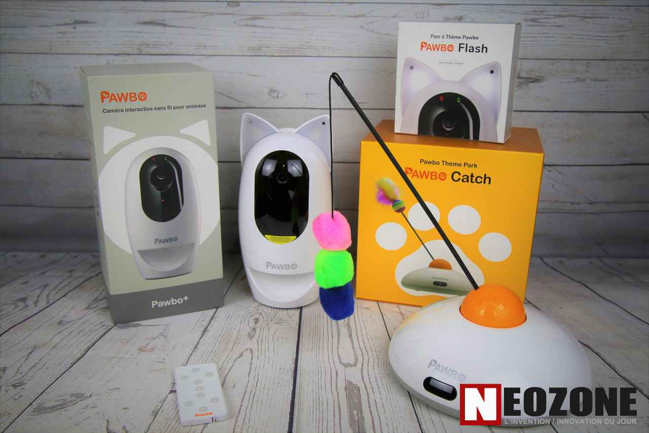 jouet chat connecte