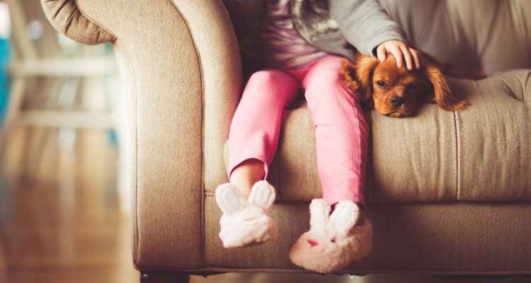Emprunte mon toutou : chien heureux, maître tranquille Emprunte mon toutou : chien heureux, maître tranquille