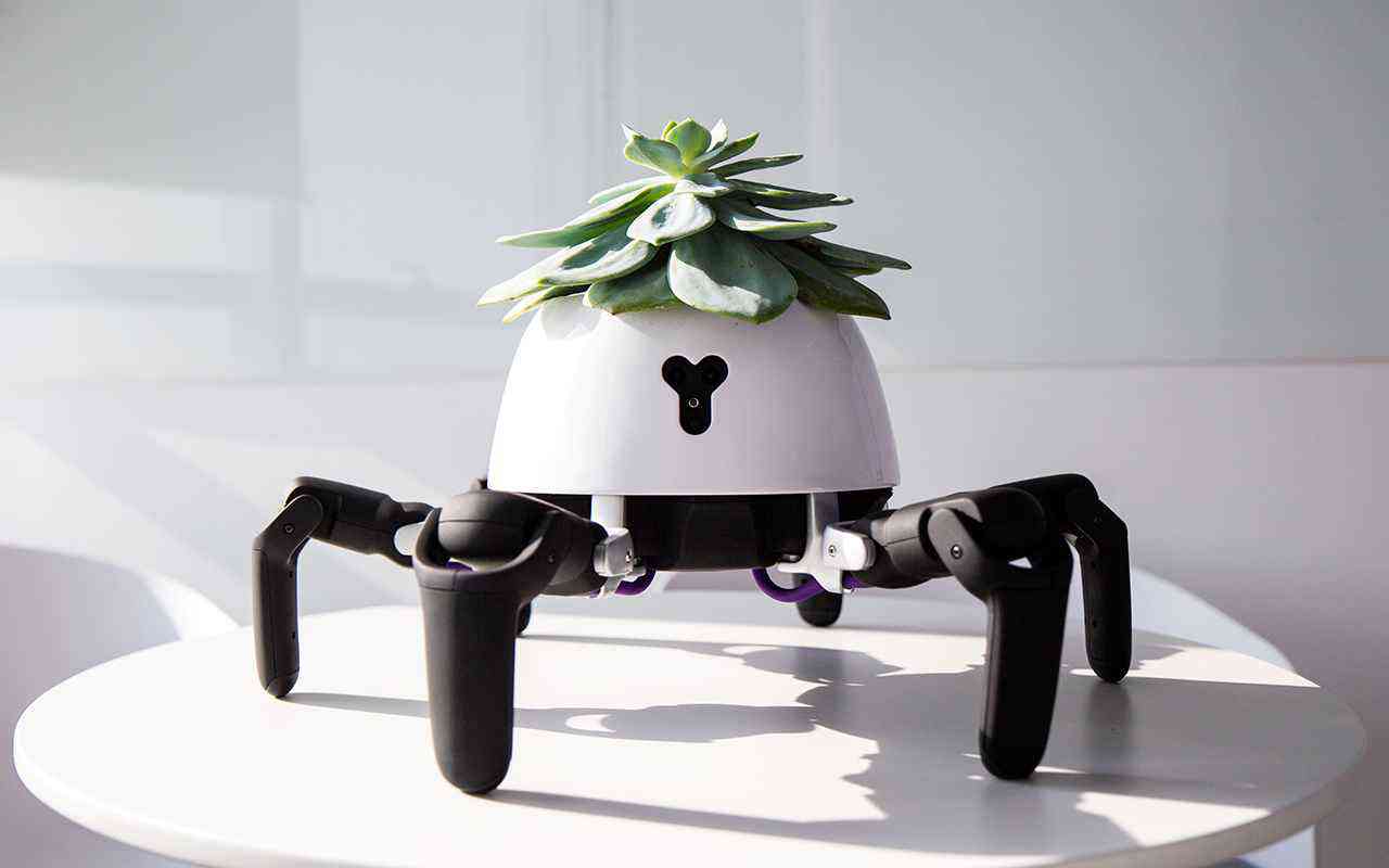 Ce robot prend soins de la plante qu'il balade sur son dos