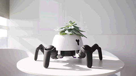 Ce robot prend soins de la plante qu'il balade sur son dos