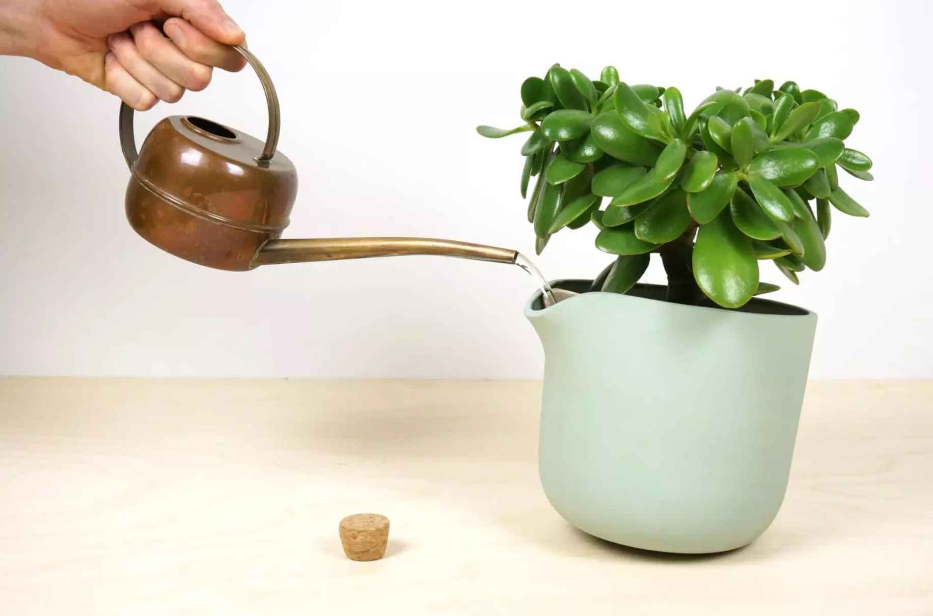 Natural Balance, un ingénieux pot de plante auto-arrosant