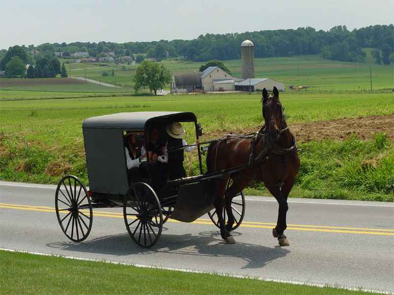 Uber Amish