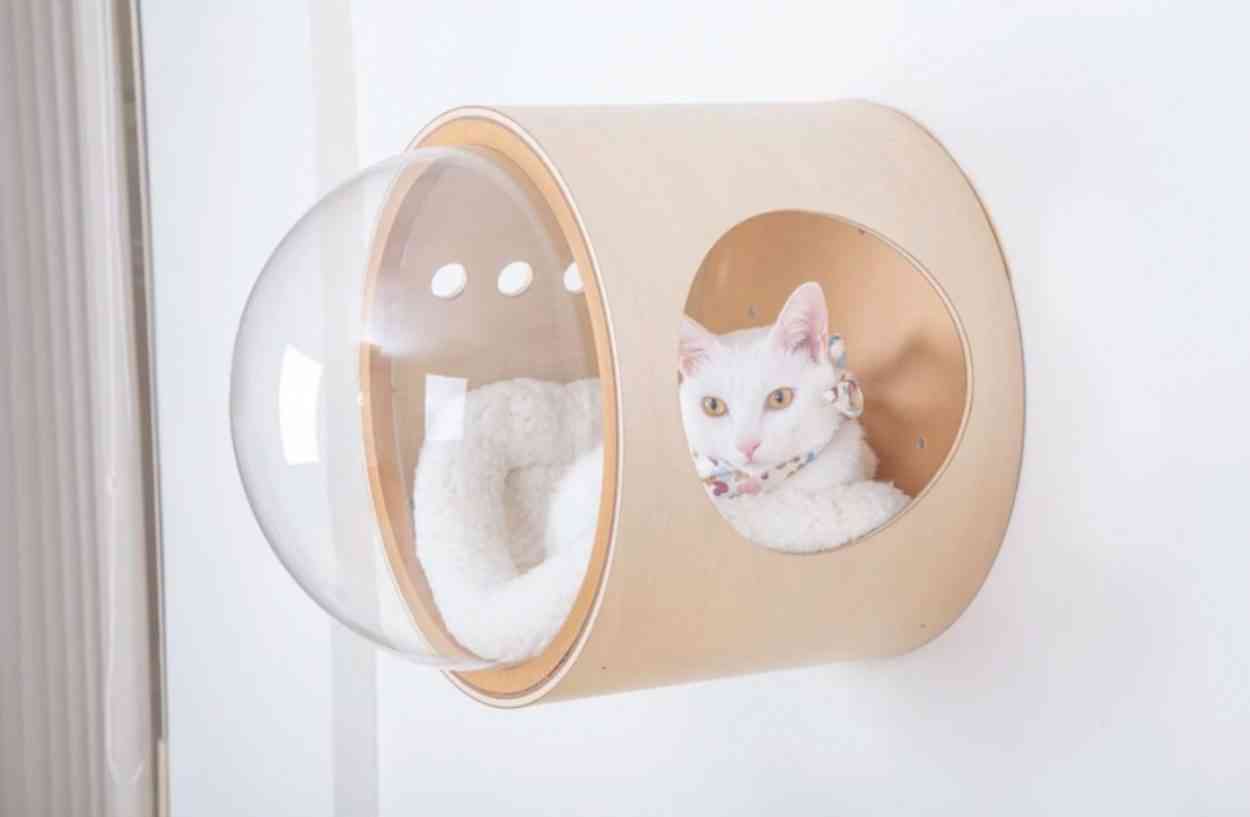 Spaceship Les Niches Pour Chat En Forme De Capsule Spatiale Neozone