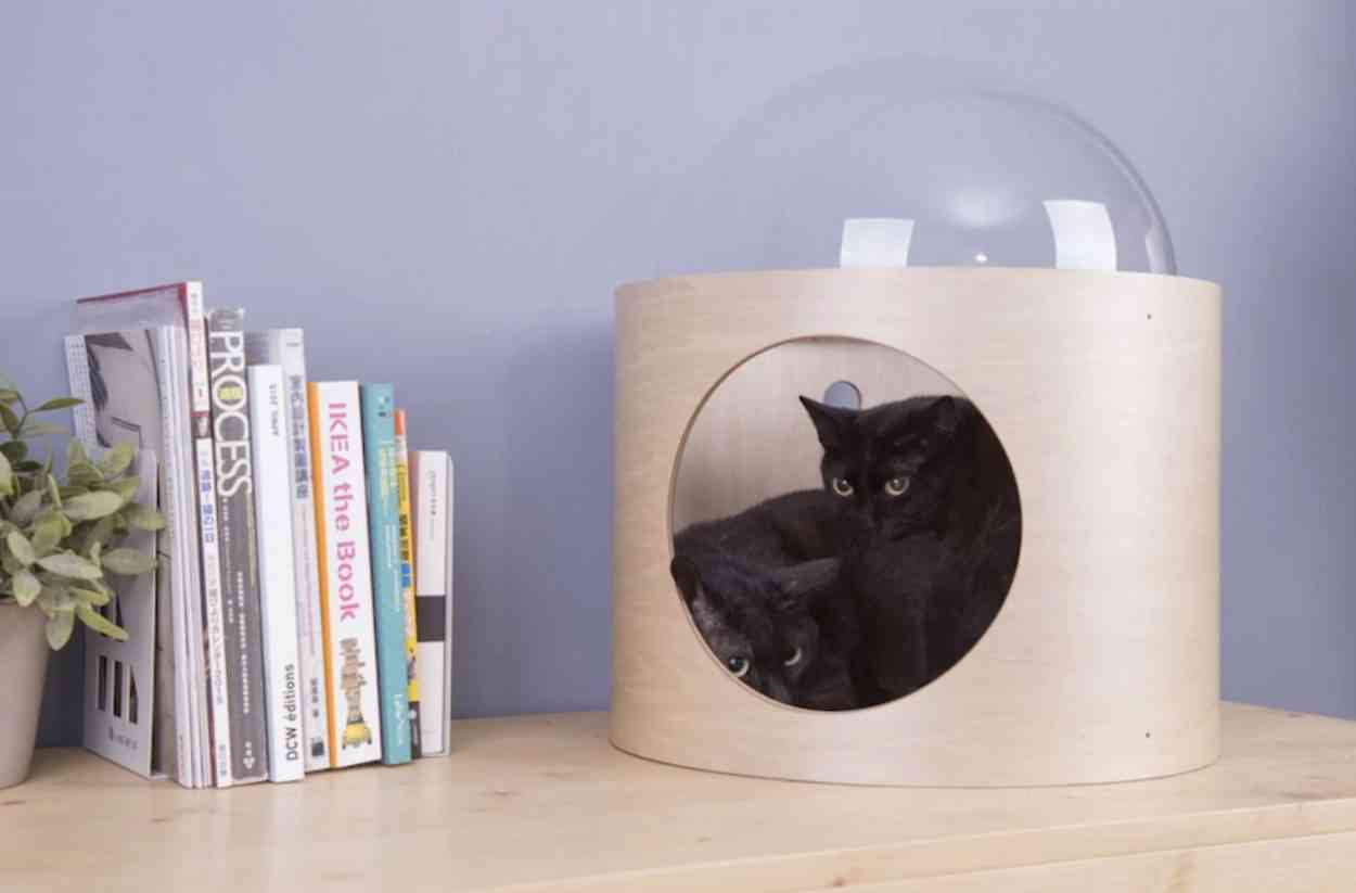 Spaceship Les Niches Pour Chat En Forme De Capsule Spatiale Neozone Spaceship Les Niches Pour Chat En Forme De Capsule Spatiale Neozone