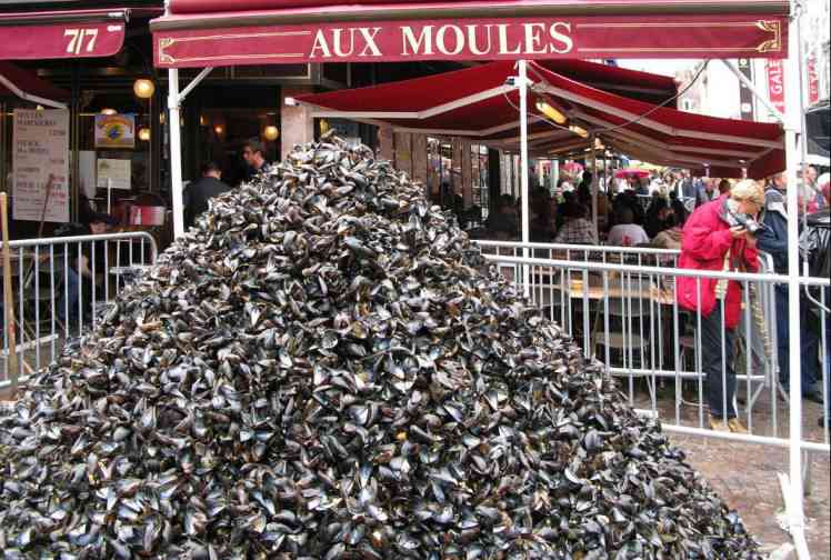Les coquilles de moules de la Braderie de Lille vont être recyclées en carrelage