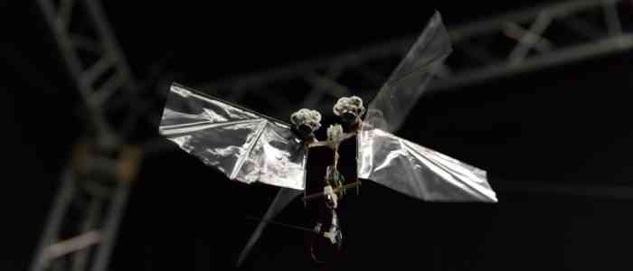 Une entreprise dévoile un drone pour remplacer les insectes pollinisateurs