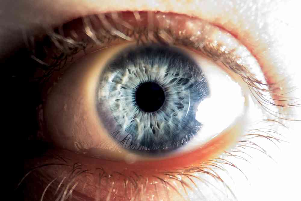 Des robots microscopiques pour soigner les maladies oculaires