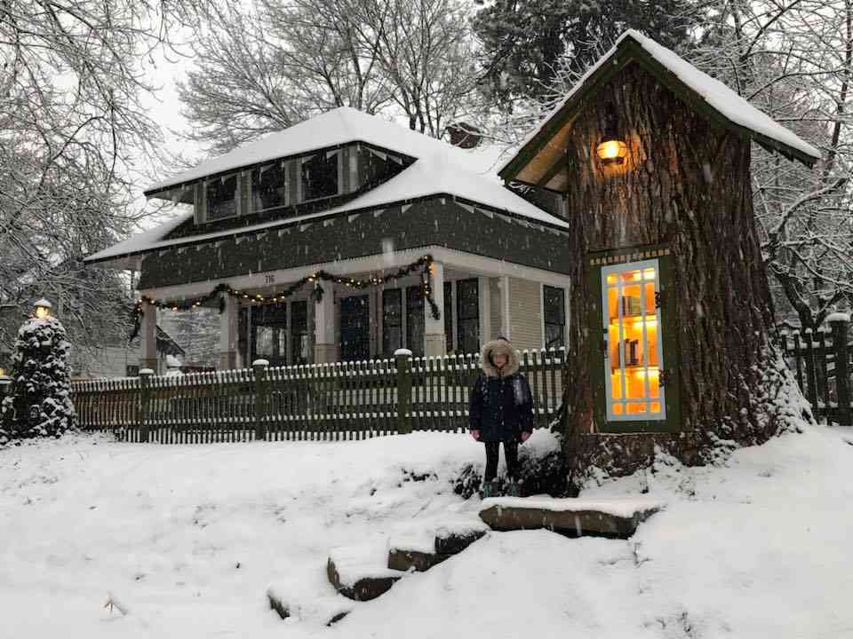 Une boîte à lire au cœur d'un arbre centenaire