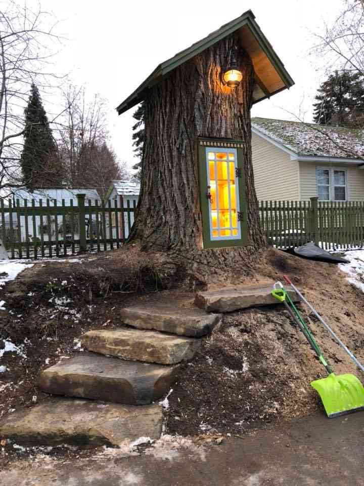 Une boîte à lire au cœur d'un arbre centenaire