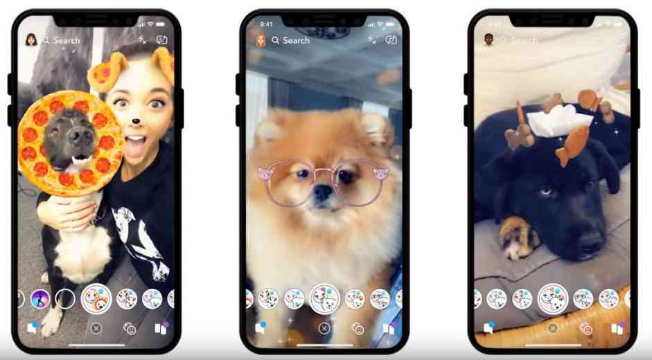 Snapchat lance des filtres pour les chiens !