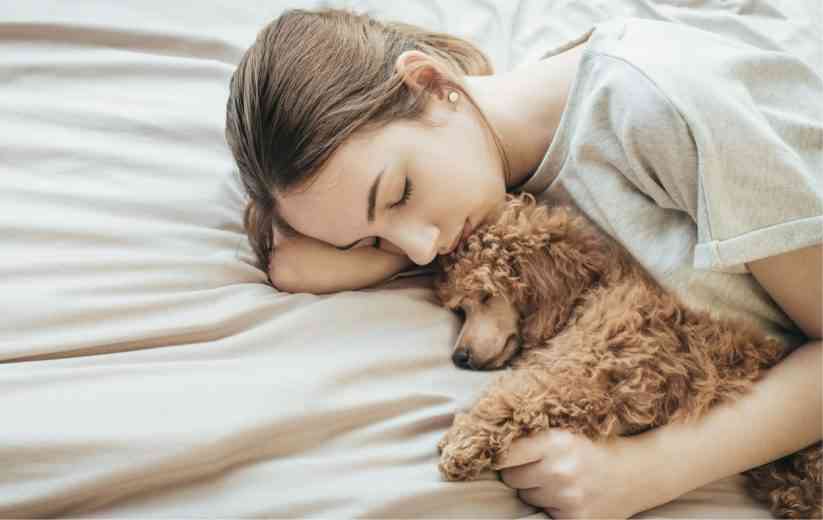 D'après une étude américaine, une femme dort mieux avec un chien qu'avec un homme