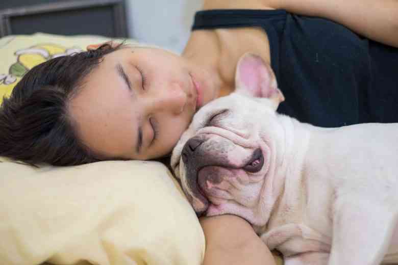 D'après une étude américaine, une femme dort mieux avec un chien qu'avec un homme