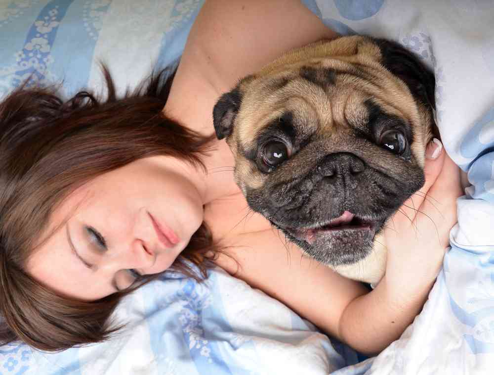 D'après une étude américaine, une femme dort mieux avec un chien qu'avec un homme