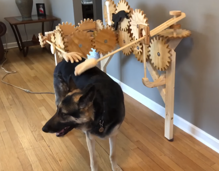 Une étonnante machine en bois qui caresse votre chien à votre place