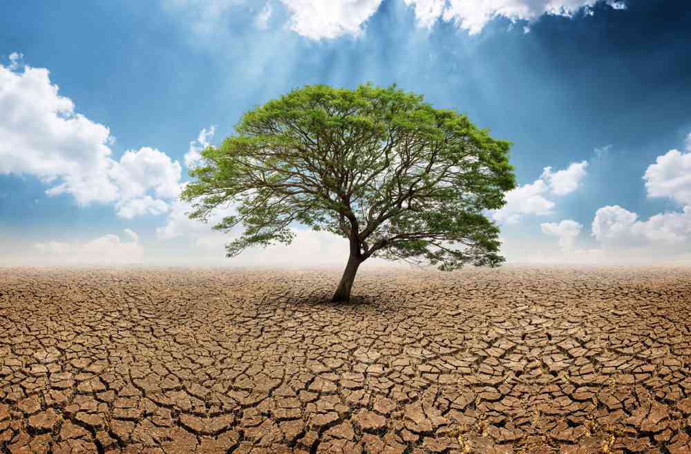 Trump tente d'étouffer une étude sur le climat, un éditeur le publie dans son intégralité