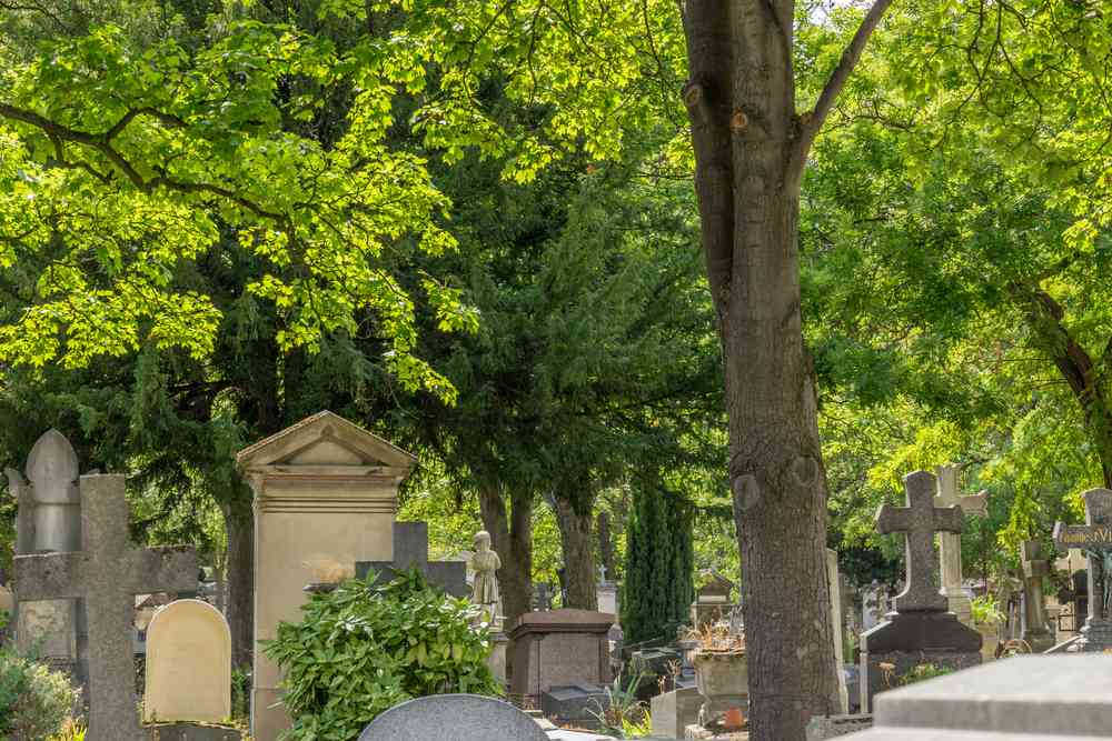 Quand les cimetières se transforment en refuge de la biodiversité