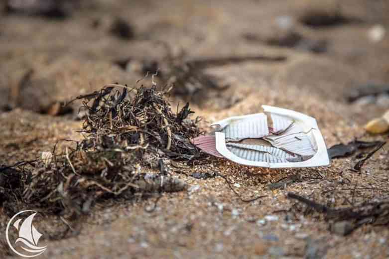 Kraken, le trois-mâts français en expédition pour dépolluer les océans