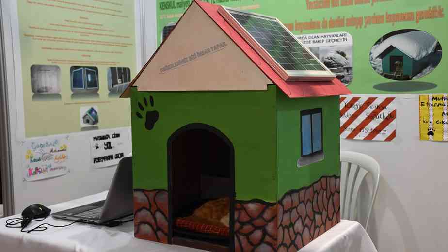 Ces étudiants ont inventé une niche chauffée à l'énergie solaire pour protéger les animaux errants l'hiver
