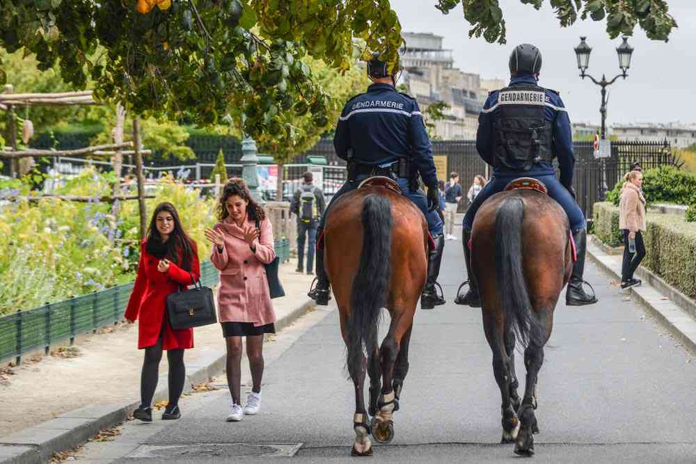 Revenir au cheval ? Certaines municipalités le font déjà !