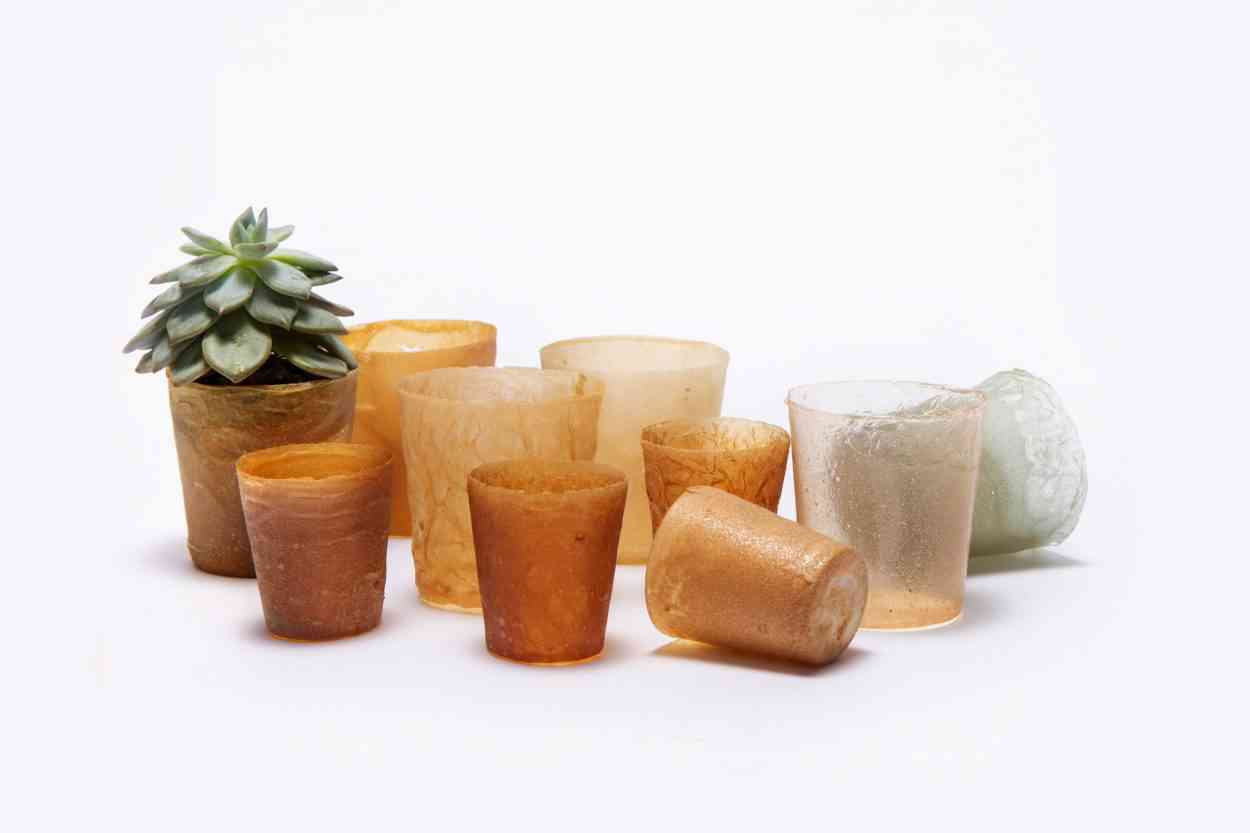 Shellworks recycle les coquilles de homard pour créer des objets en bioplastiques