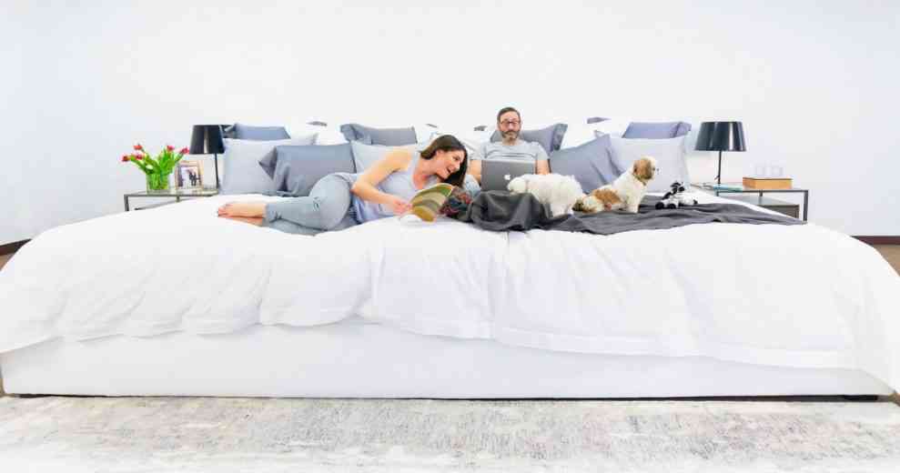 Cet gigantesque lit de 3m60 de large peut accueillir toute la famille, chiens et chats compris !