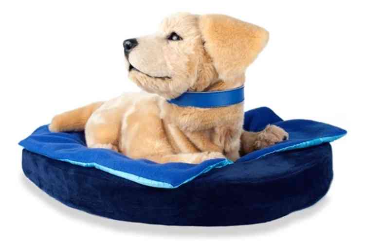 Tombot, le chien robot ultraréaliste conçu pour les