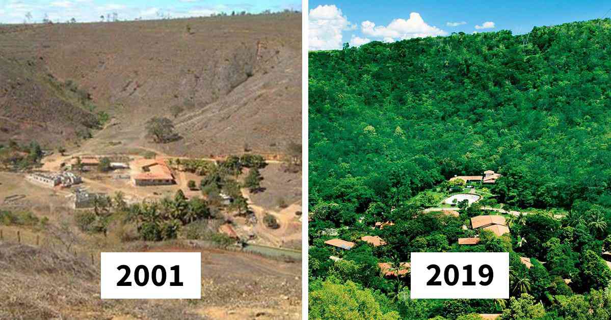 En 20 ans, ce couple a planté plus de 2 millions d'arbres pour restaurer la faune et la flore