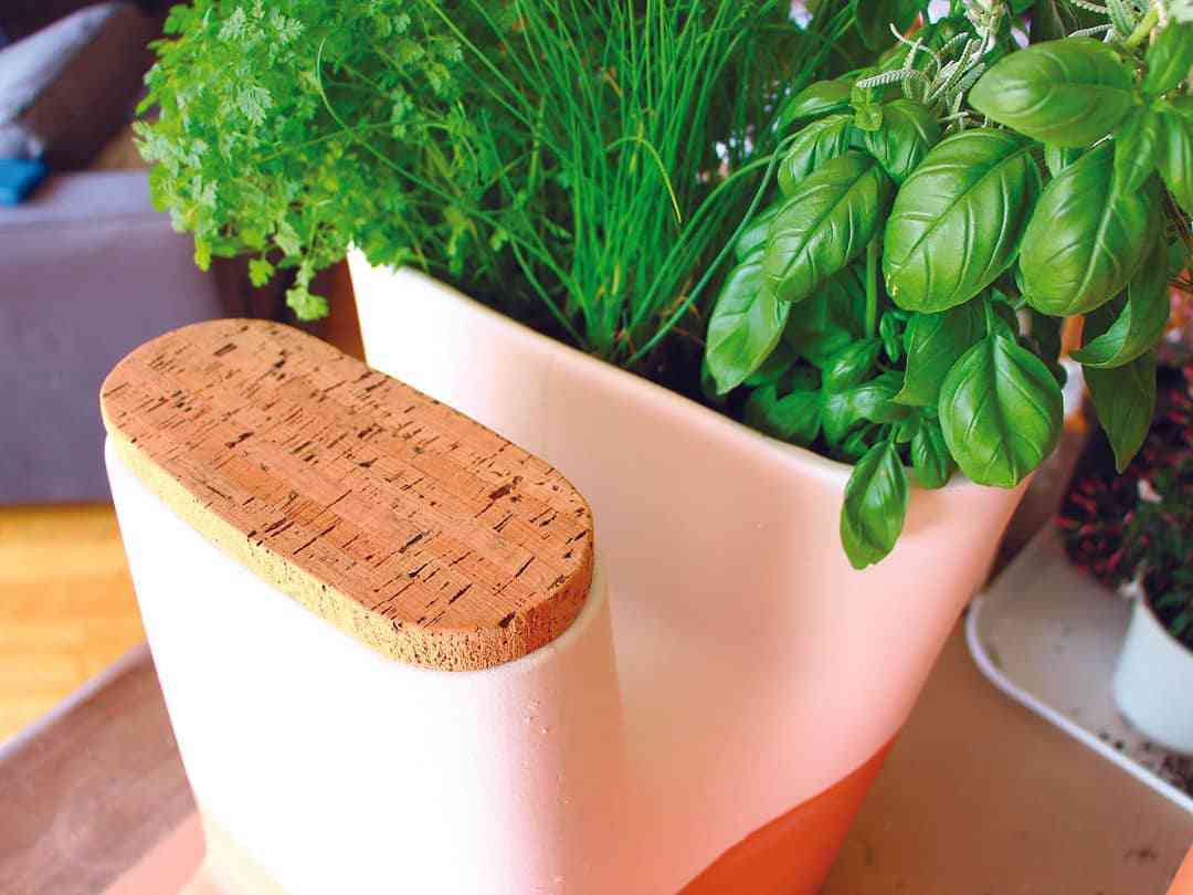 Des pots de fleurs avec composteur intégré pour la cuisine