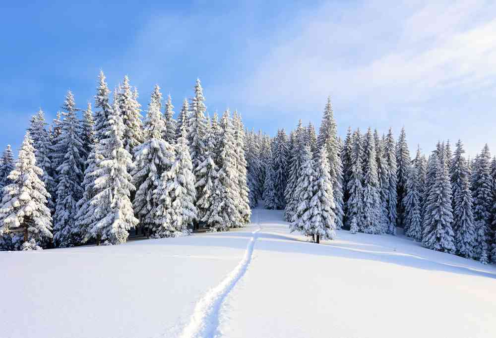 Des scientifiques veulent créer de l’énergie propre à partir de flocons de neige