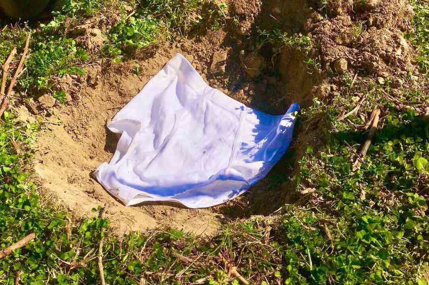 Enterrer des slips en cotons dans les vignobles, l'astuce insolite de ces vignerons pour mesurer la qualité des sols