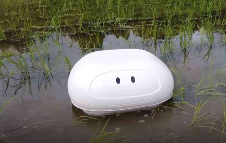 Ce robot est aussi efficace qu'un canard pour entretenir les rizières