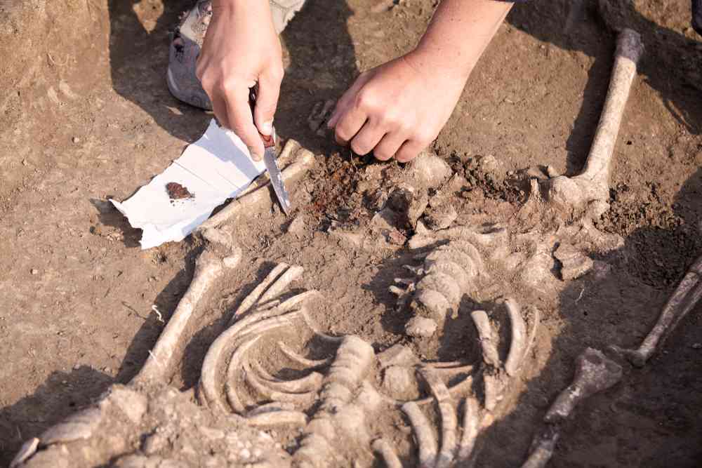 Des écoliers découvrent les restes d'un tumulus funéraire vieux de 5600 ans dans le bac à sable de leur école....