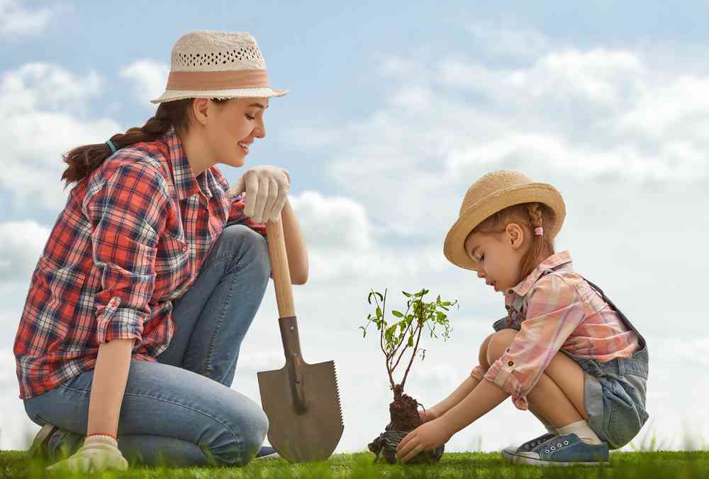 Cette urne biodégradable permet de transformer les cendres d'un proche en arbre