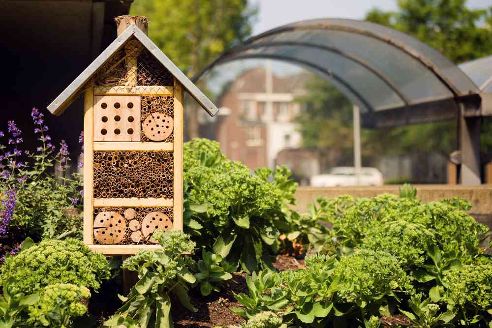 Comment adopter (et aider) les abeilles sauvages avec un nichoir à insectes