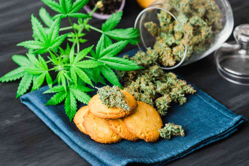 Canada : Les produits comestibles à base de cannabis seront autorisés d'ici la fin de l'année