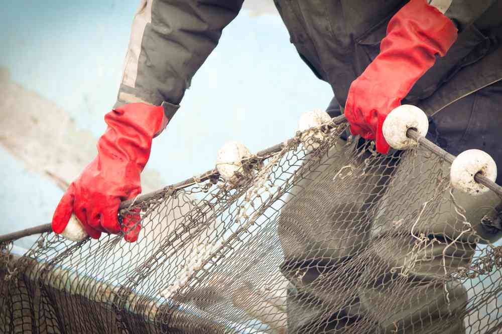 Pêche durable : Cette entreprise propose des filets de pêche 100% biodégradables, en amidon de maïs