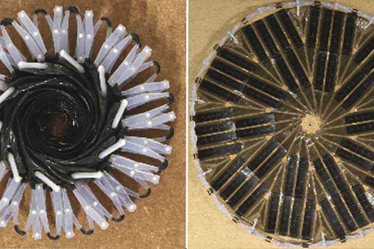 Ces panneaux solaires éclosent à la chaleur, comme des fleurs...