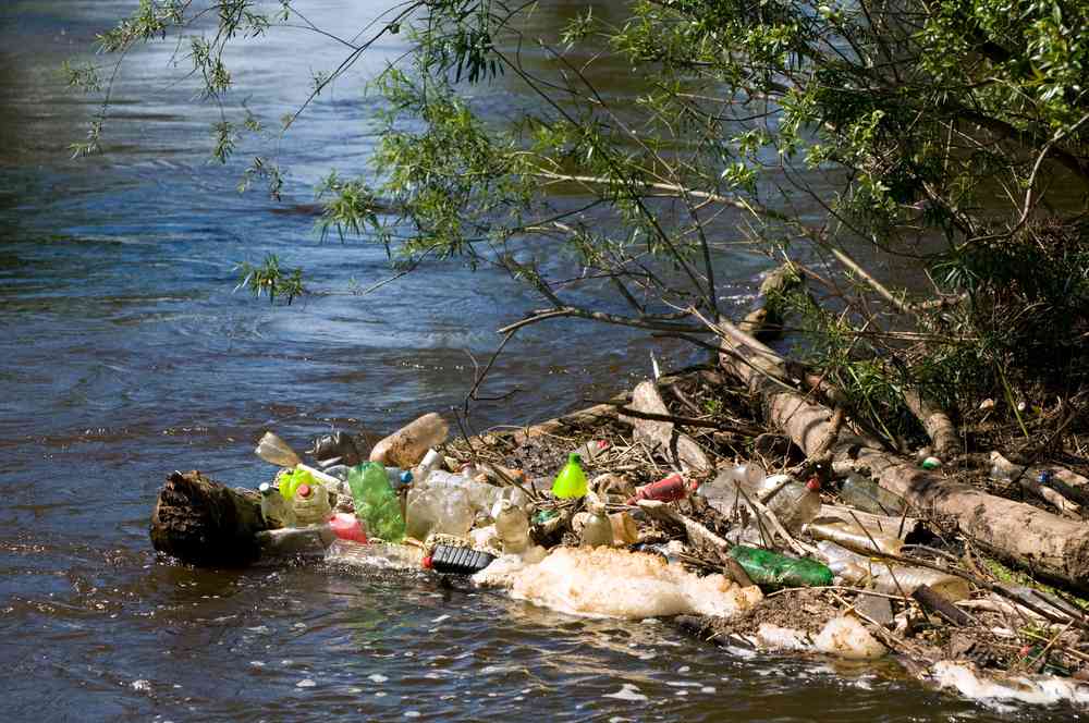 Chaque jour, ce Grenoblois dépollue bénévolement les rivières en Isère