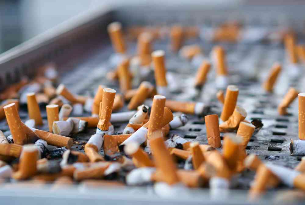 EcoMégot, l'entreprise qui transforme les mégots de cigarettes en emplois