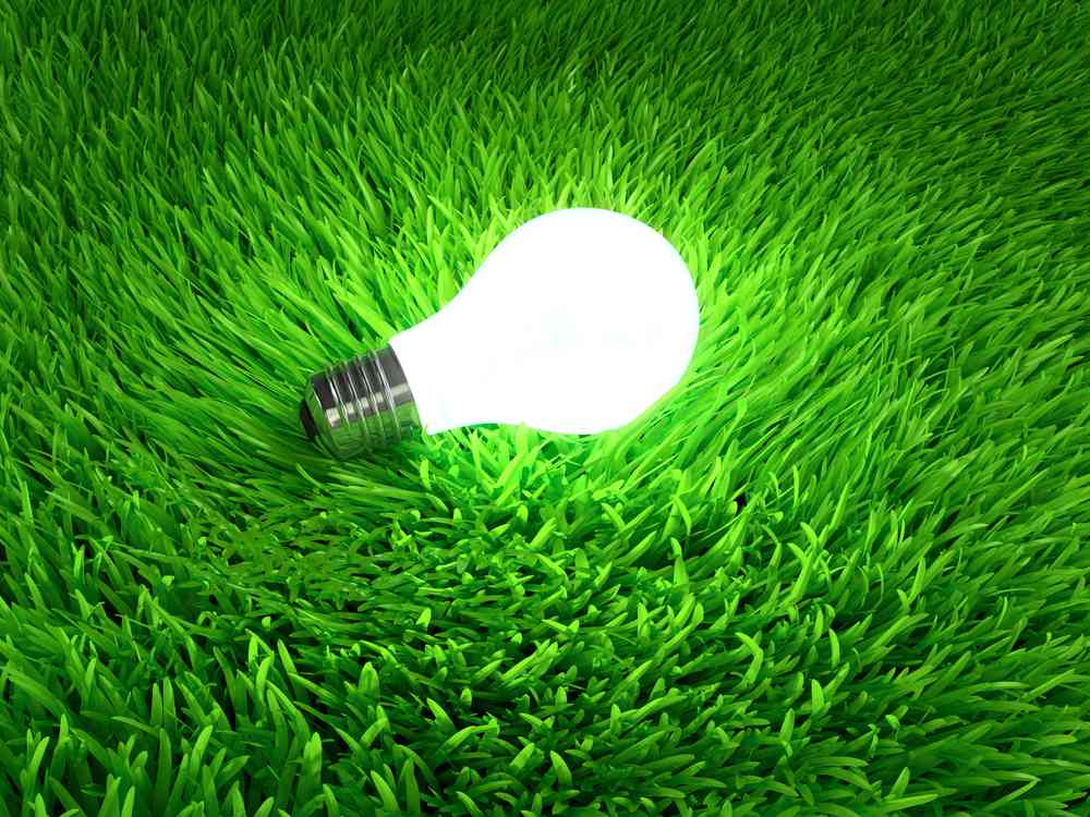 Electricité verte, énergie verte... savez-vous vraiment ce que cela veut dire ?