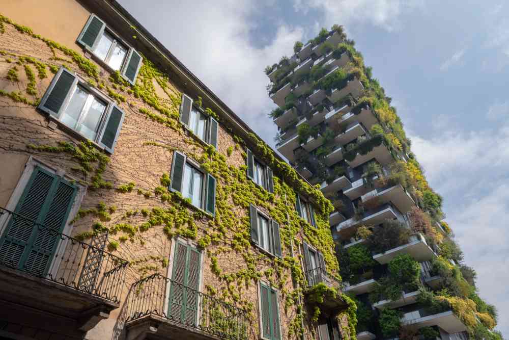 Pour lutter contre la canicule, Liège va planter 4.000 arbres et envisage une végétalisation des toits