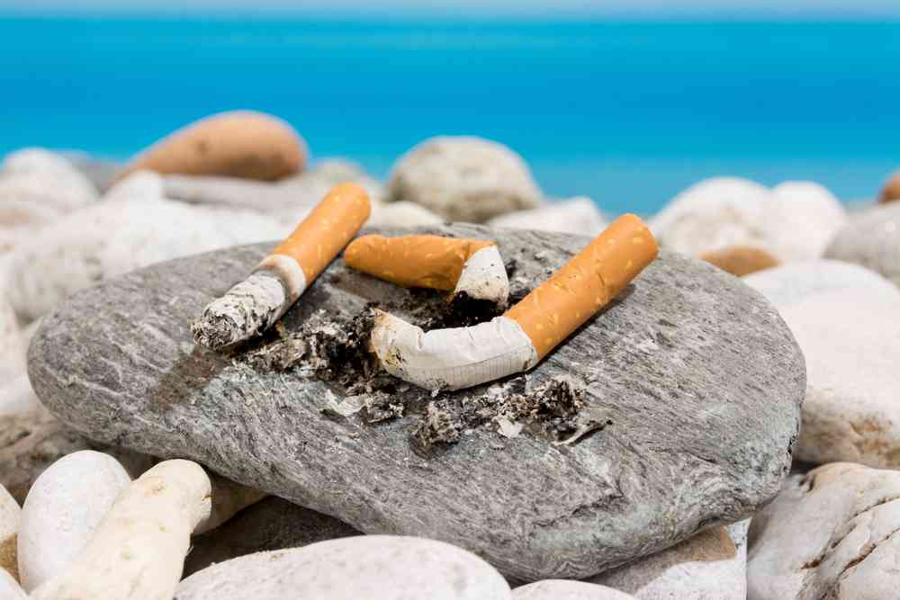 "Les mégots sont la principale pollution des océans" l'association GreenMinded les recycle intelligemment