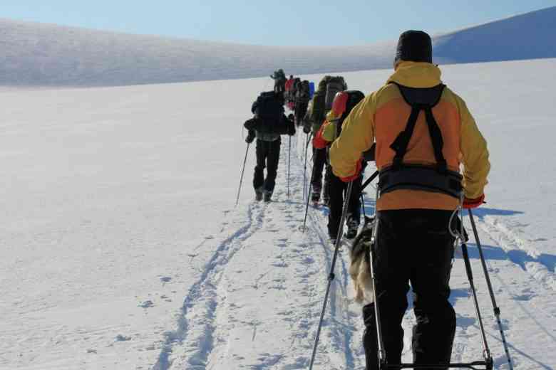 Airbnb recherche cinq volontaires pour une expédition gratuite au Chili et en Antarctique !