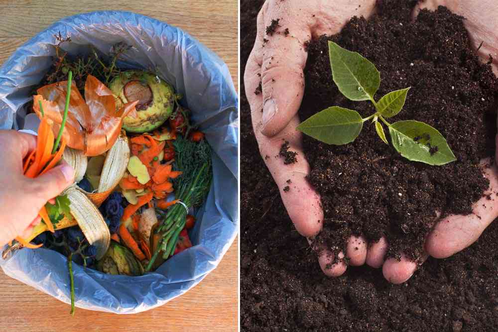 Trois entrepreneurs français transforment les déchets alimentaires en compost naturel