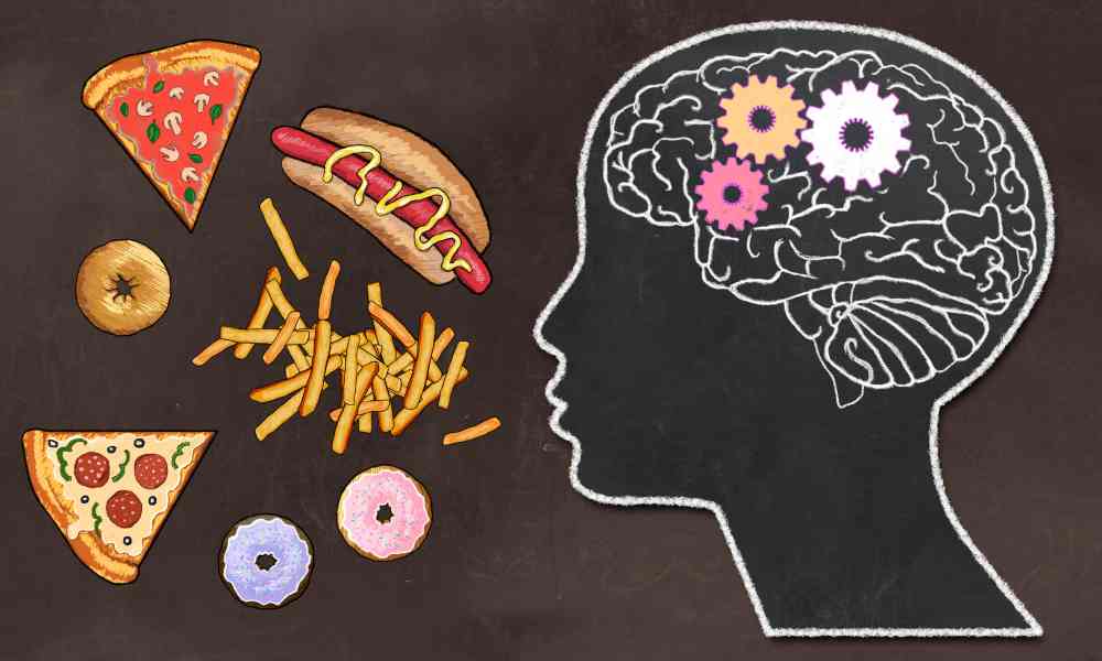 D'après cette étude, une mauvaise alimentation affecte notre cerveau en trois jours seulement...