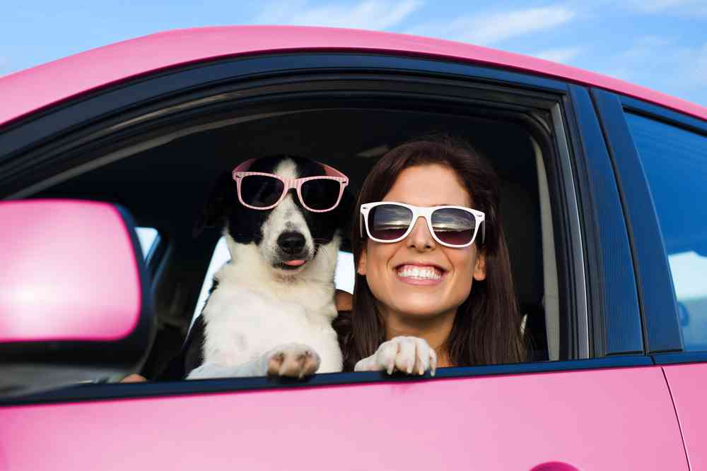 Quelques astuces pour passer le permis de conduire sans casser sa tirelire...