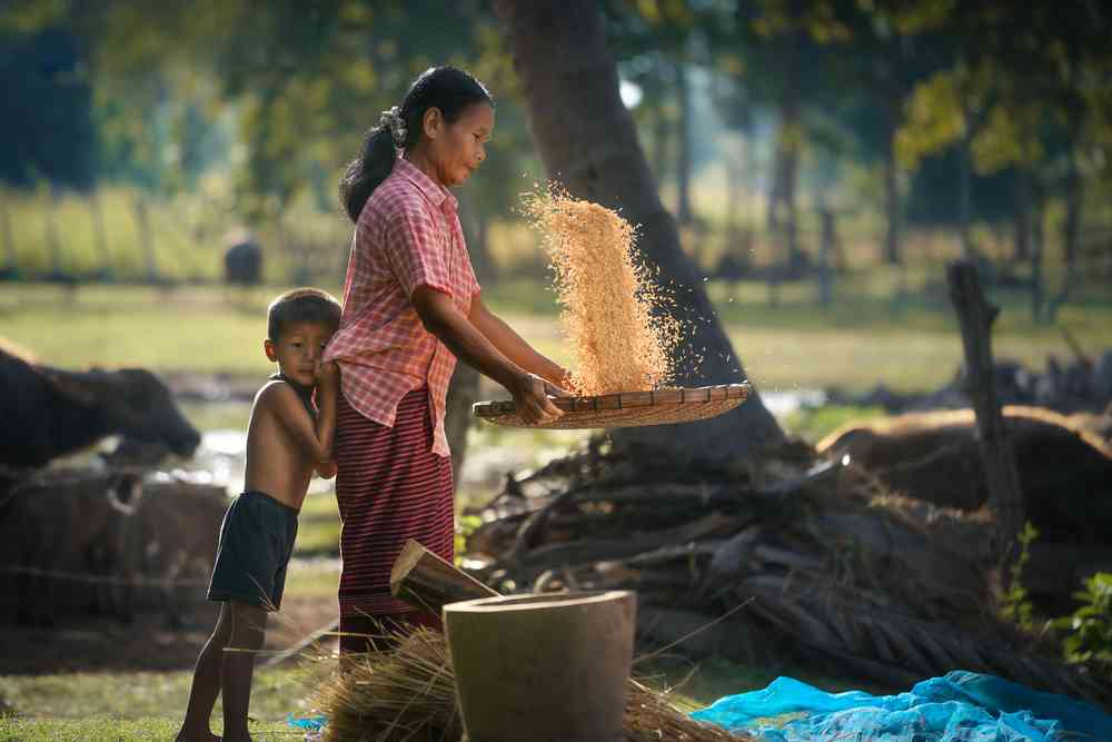 Philippines : le gouvernement offre un kilo de riz pour deux kilos de déchets ramassés